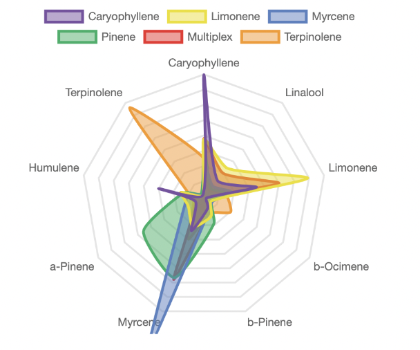 SDP%20Compass%20overlay